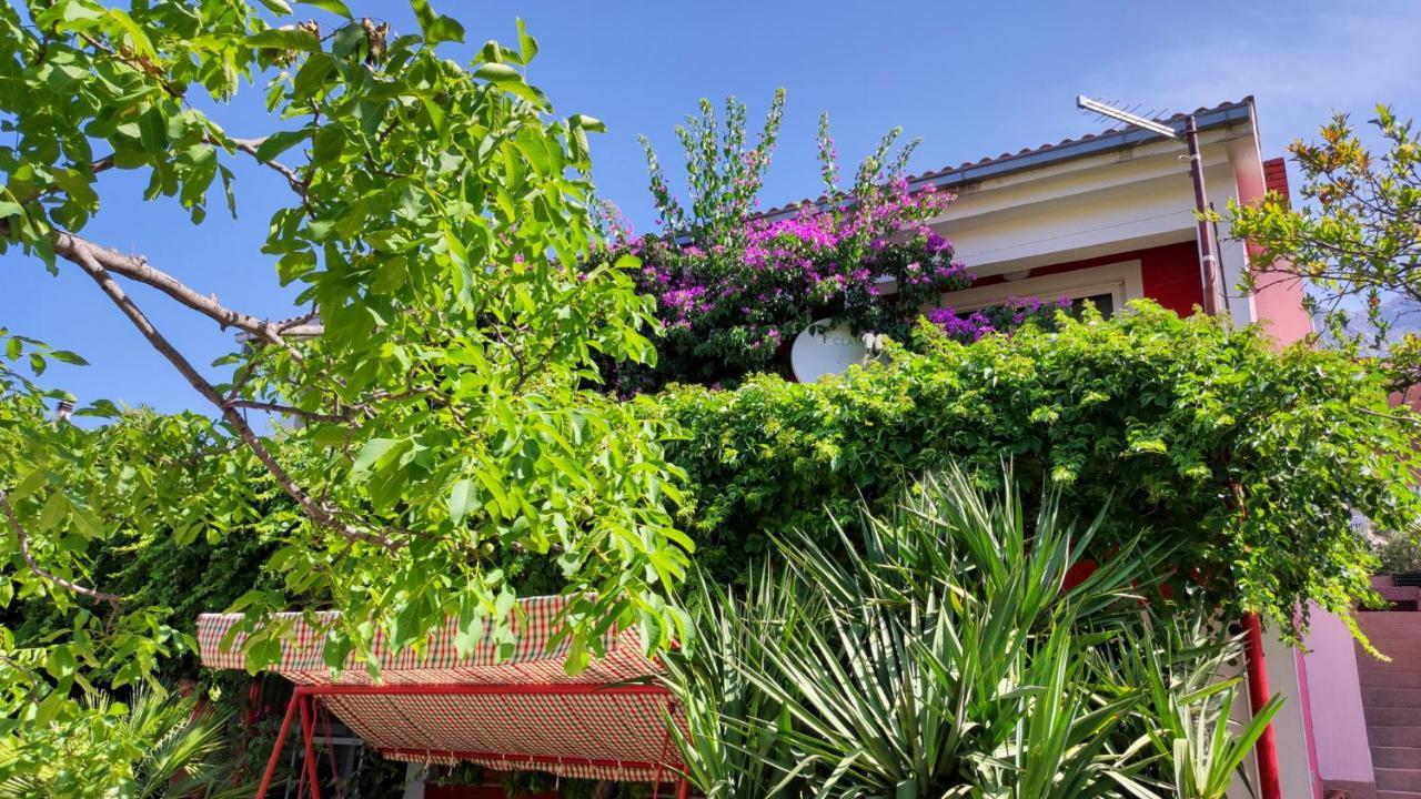 מאקרסקה Apartments Paunovic מראה חיצוני תמונה