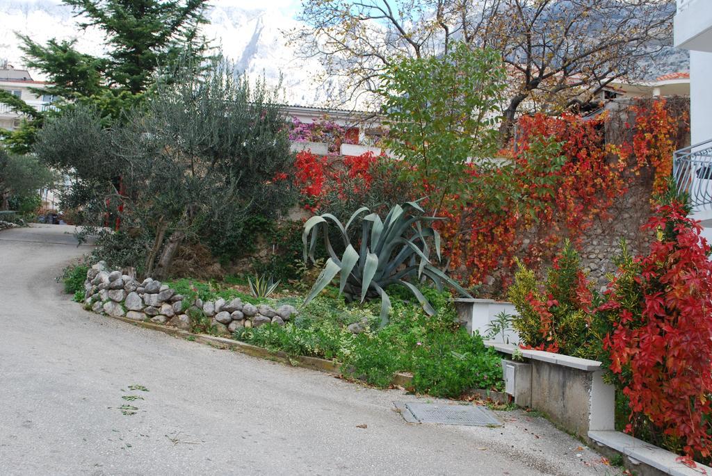 מאקרסקה Apartments Paunovic מראה חיצוני תמונה